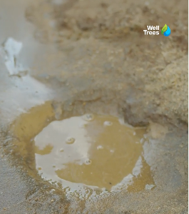 Hand-pump water well built by Well & Trees in Pakistan