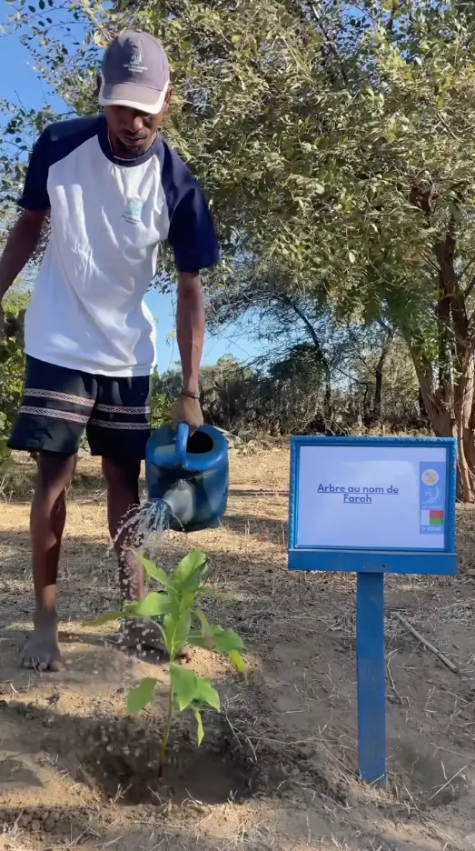 Well & Trees team member watering a newly planted sapling in Madagascar next to its plaque