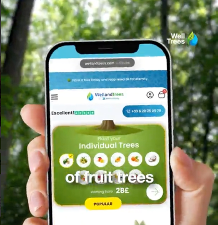 Fruit tree planted by Well & Trees in Madagascar