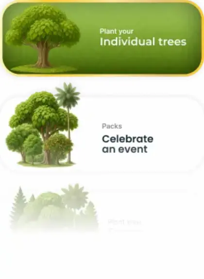 Tree list 1 1 - fruit tree planted by Well & Trees in Madagascar