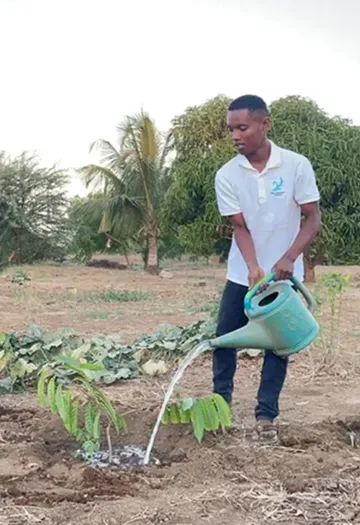 Well & Trees team member watering a young fruit tree in Madagascar, mango trees in the background
