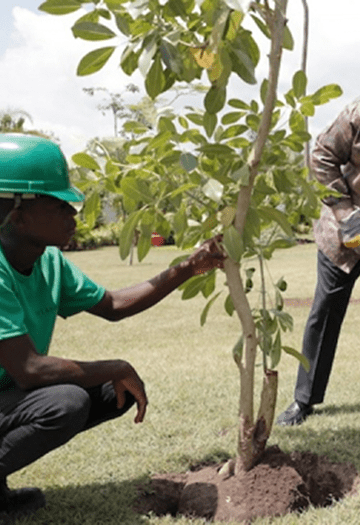 Person in a green hat planting a tree.