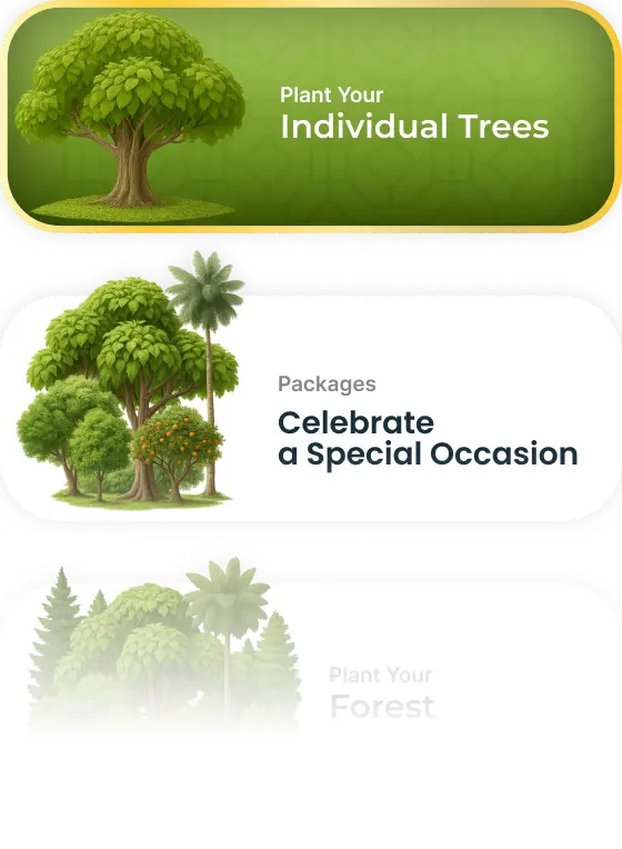 List tree - Well & Trees
