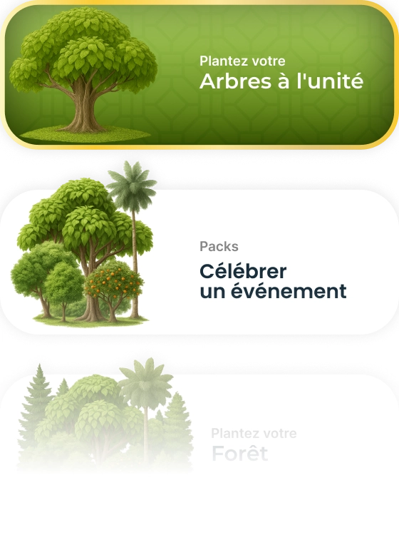 Tree illustrations for planting and celebrations.