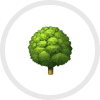 Tree icon on a white background.