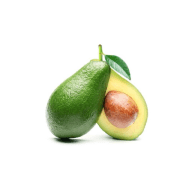 Avocado tree - Well & Trees