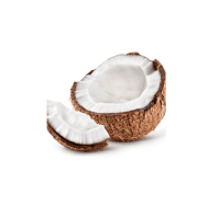 Coconut tree - Well & Trees