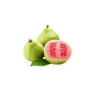 Guava tree - Well & Trees