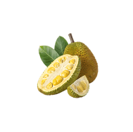 Jackfruit tree - Well & Trees