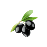 Jamun tree - Well & Trees