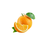 Orange tree - Well & Trees