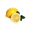 Lemon tree - Well & Trees