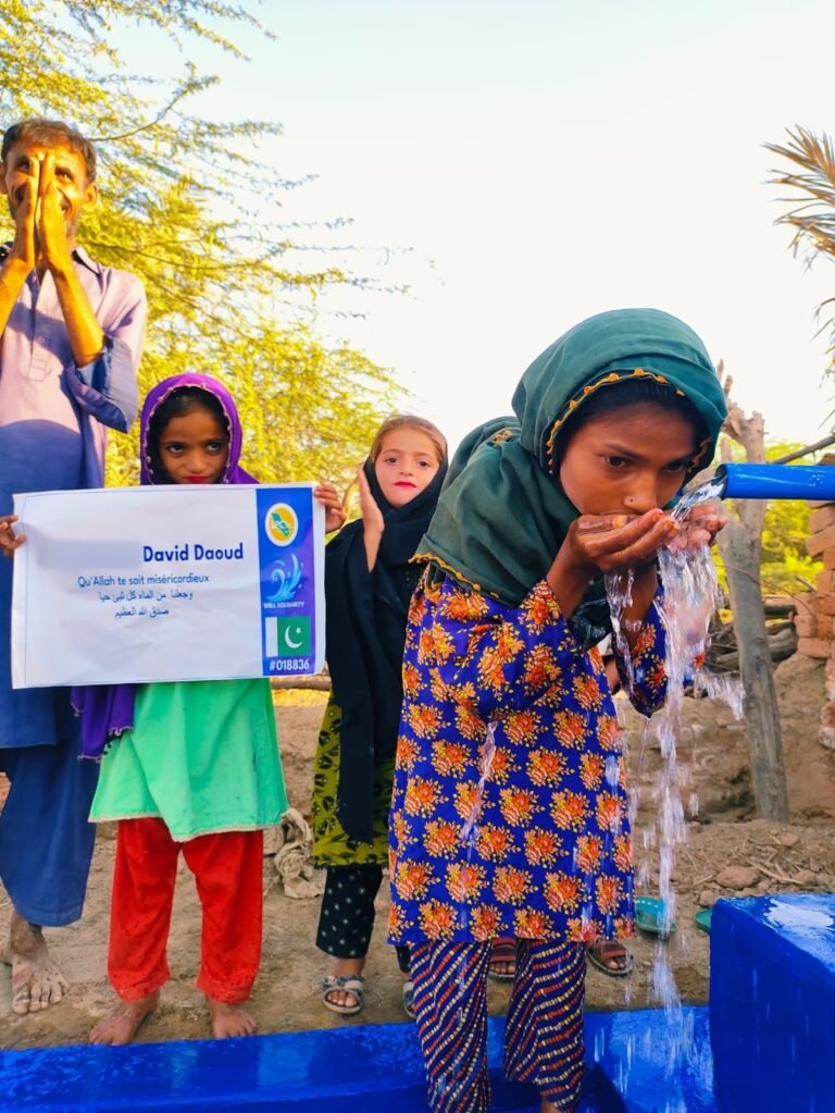 Hand-pump water well built by Well & Trees in Sindh, Pakistan, with a named plaque
