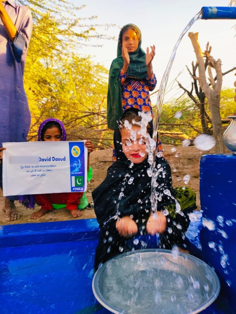 Hand-pump water well in Sindh, Pakistan, with a plaque in the name chosen by the customer